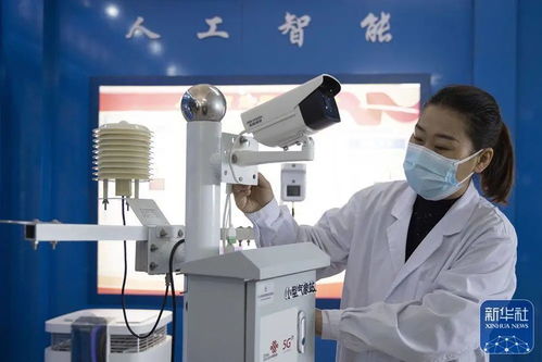 央媒看龍江 中國最北自貿區，數字經濟與綠色科技雙引擎驅動發展